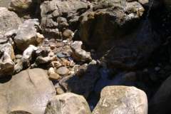 FB_IMG_1477200491533