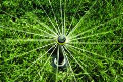 rainbird-beregnungssysteme