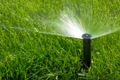 sprinkler of automatic watering