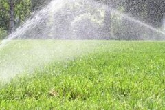 rainbird1-2-82